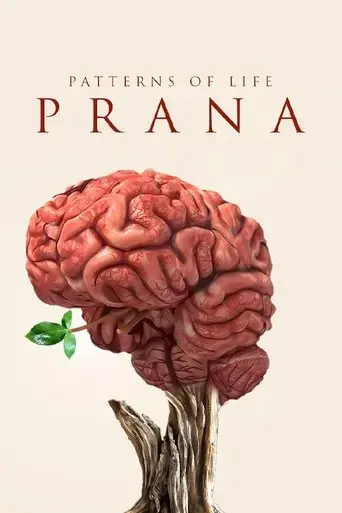patterns-of-life-prana-2021
