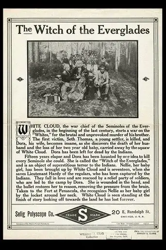 The Witch of the Everglades (1911)