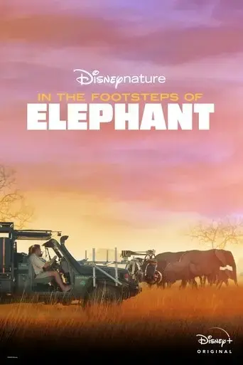in-the-footsteps-of-elephant-2020