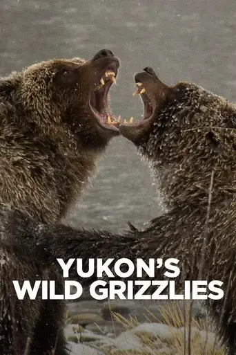 yukon-s-wild-grizzlies-2021