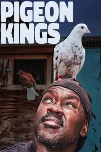 pigeon-kings-2019
