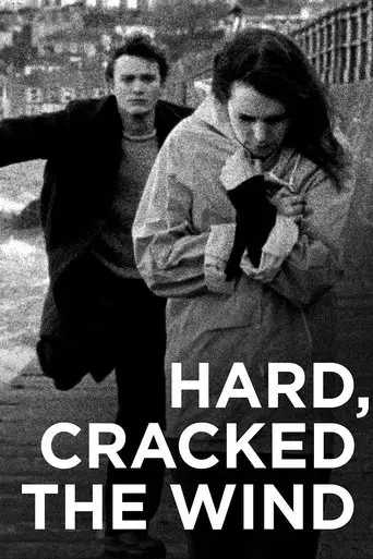 hard-cracked-the-wind-2019