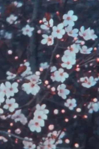 quarantine-spring-2020