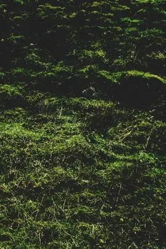 untitled-aubrac-2016
