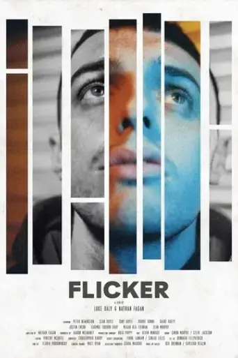 flicker-2020