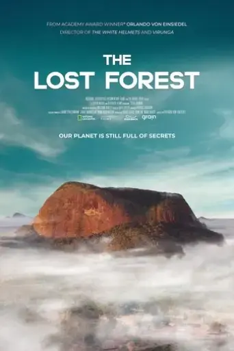 the-lost-forest-2020