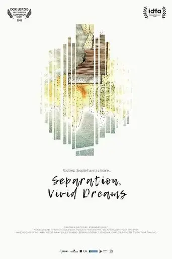 separation-vivid-dreams-2018