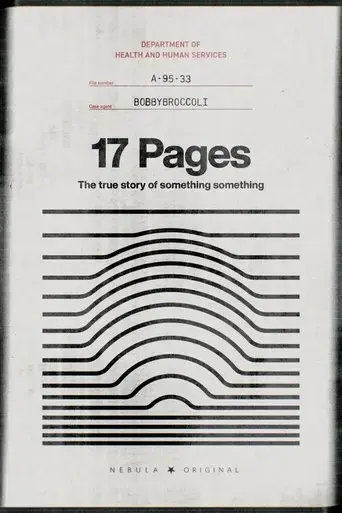 17-pages-2025