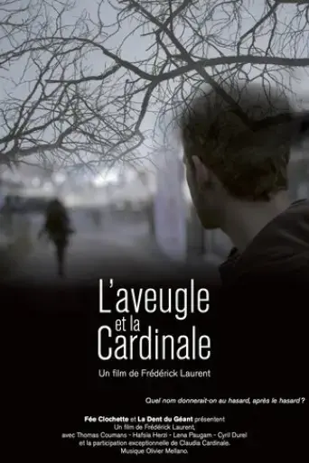 the-blind-and-the-cardinal-2016