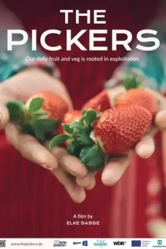 the-pickers-2024
