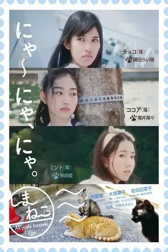 shimaneko-2024