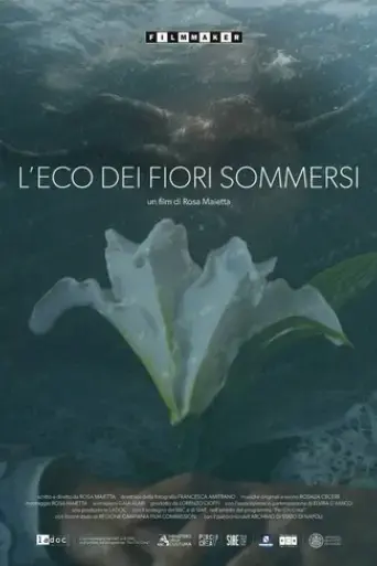L'eco dei fiori sommersi (2024)