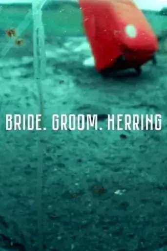 bride-groom-herring-2020