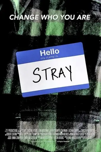 stray-2015