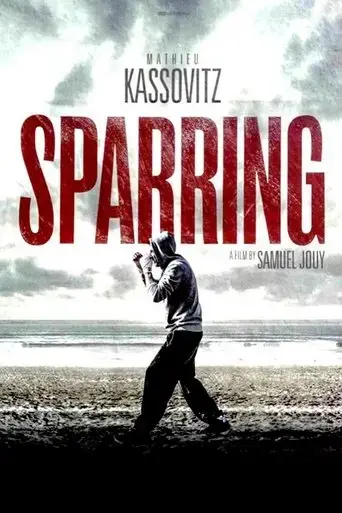sparring-2017
