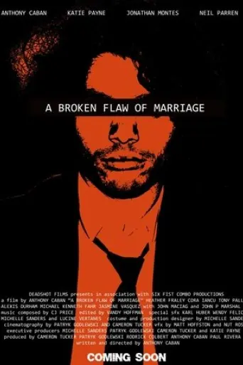 a-broken-flaw-of-marriage-2025