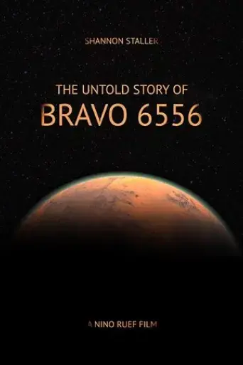 bravo-6556-2017