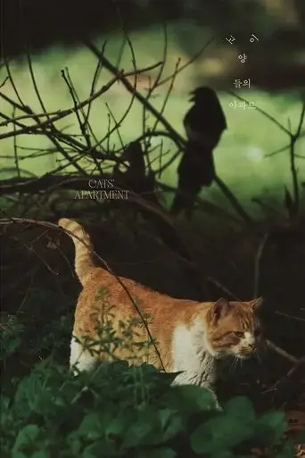cats-apartment-2022