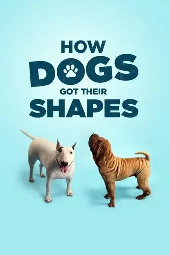 how-dogs-got-their-shapes-2016