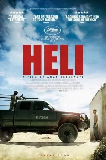heli-2013