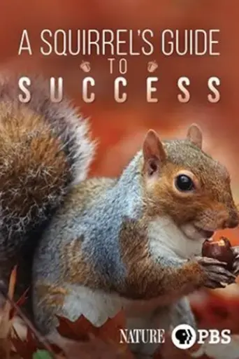 a-squirrel-s-guide-to-success-2018