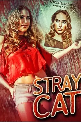 stray-cat-2023