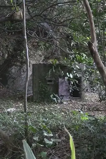 Singing in the Dark: Erasing the Disabled of Okinawa (2021)