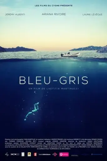 bleu-gris-2017