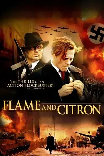 flame-citron-2008