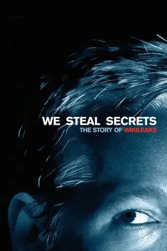 we-steal-secrets-2013