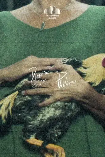 nightbirds-2024