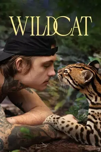 wildcat-2022