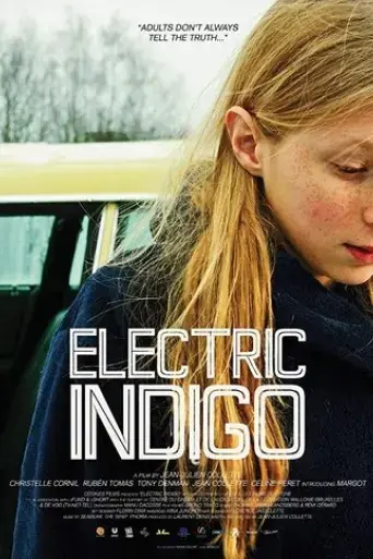 electric-indigo-2013