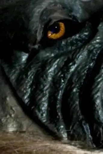 the-werewolf-of-chatsford-2018