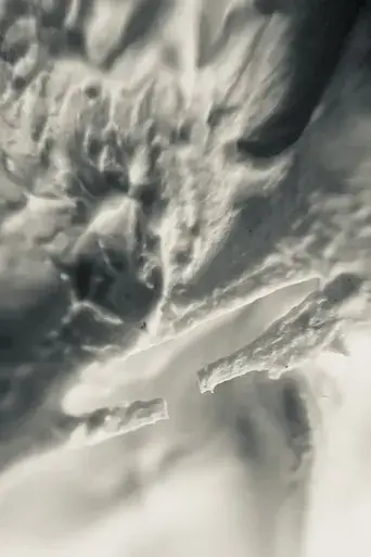 rough-texture-pilot-run-2024
