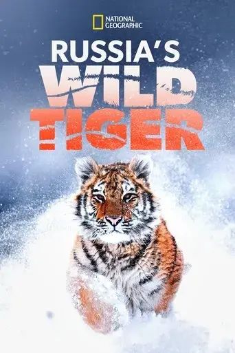 russia-s-wild-tiger-2022