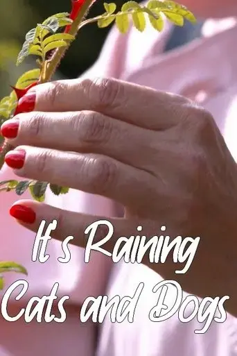 it-s-raining-cats-and-dogs-2022