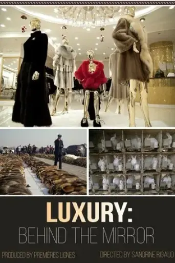 luxury-behind-the-mirror-2019