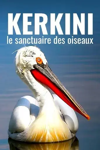 kerkini-le-sanctuaire-des-oiseaux-2021