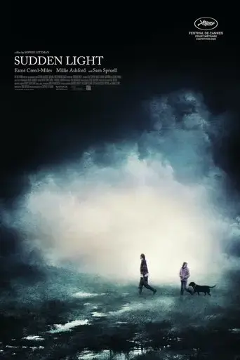 sudden-light-2020
