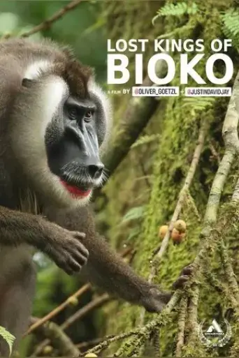 lost-kings-of-bioko-2019