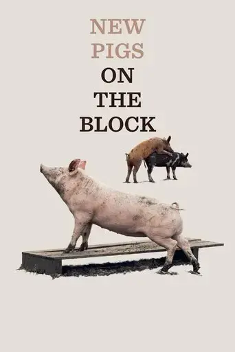 new-pigs-on-the-block-2022