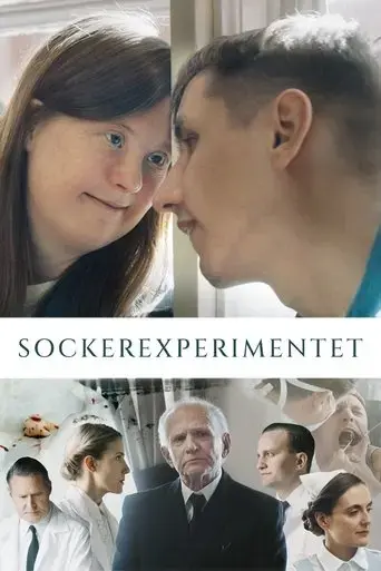 the-sugar-experiment-2023