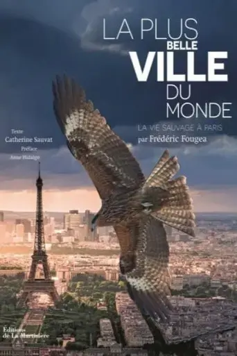 la-plus-belle-ville-du-monde-2017
