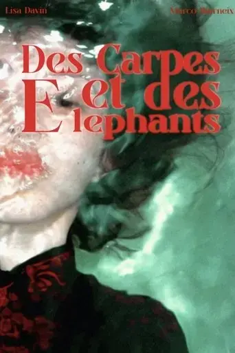 des-carpes-et-des-elephants-2024