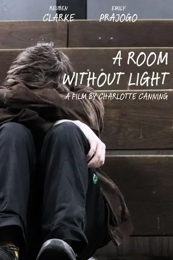 a-room-without-light-2025