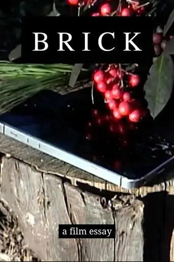 brick-a-film-essay-2021