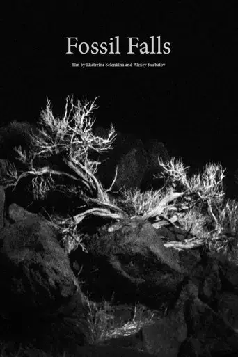 fossil-falls-2019