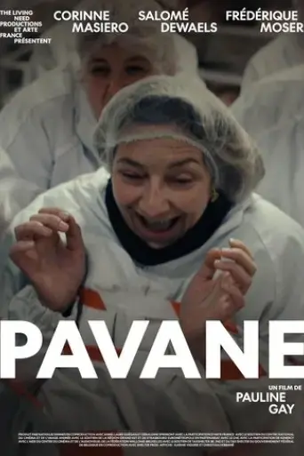 pavane-2023