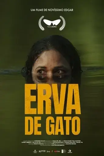 erva-de-gato-2023